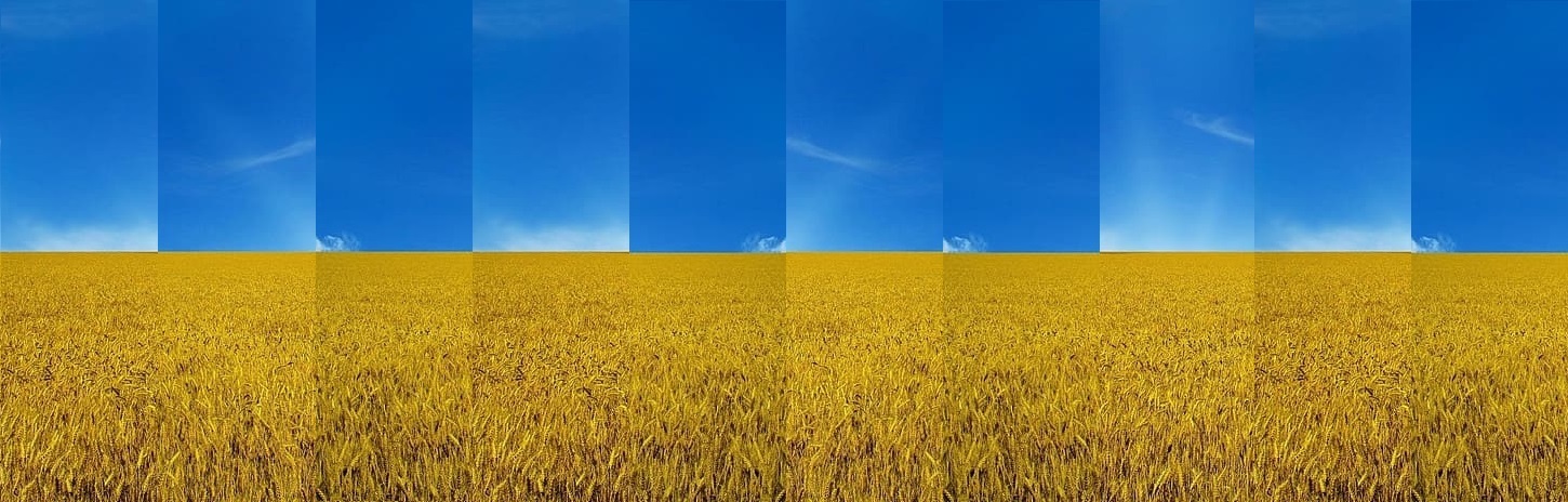 Lass ab vom Bösen und tue Gutes; suche Frieden und jage ihm nach!